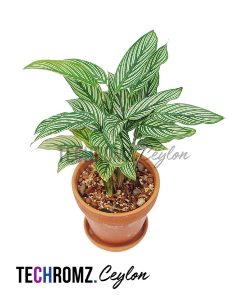 Flower Bowl (Copy)