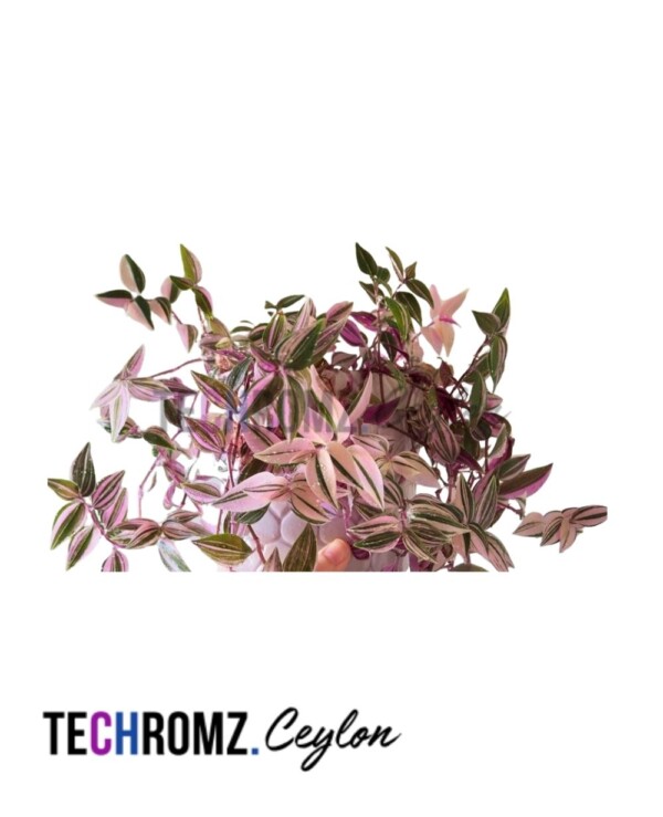Flower Bowl (Copy) (Copy) (Copy)