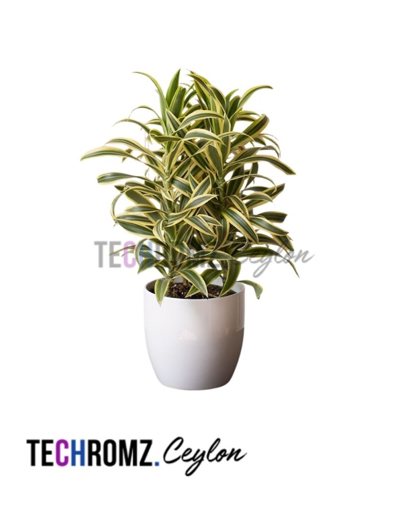 Floor Lamp (Copy)