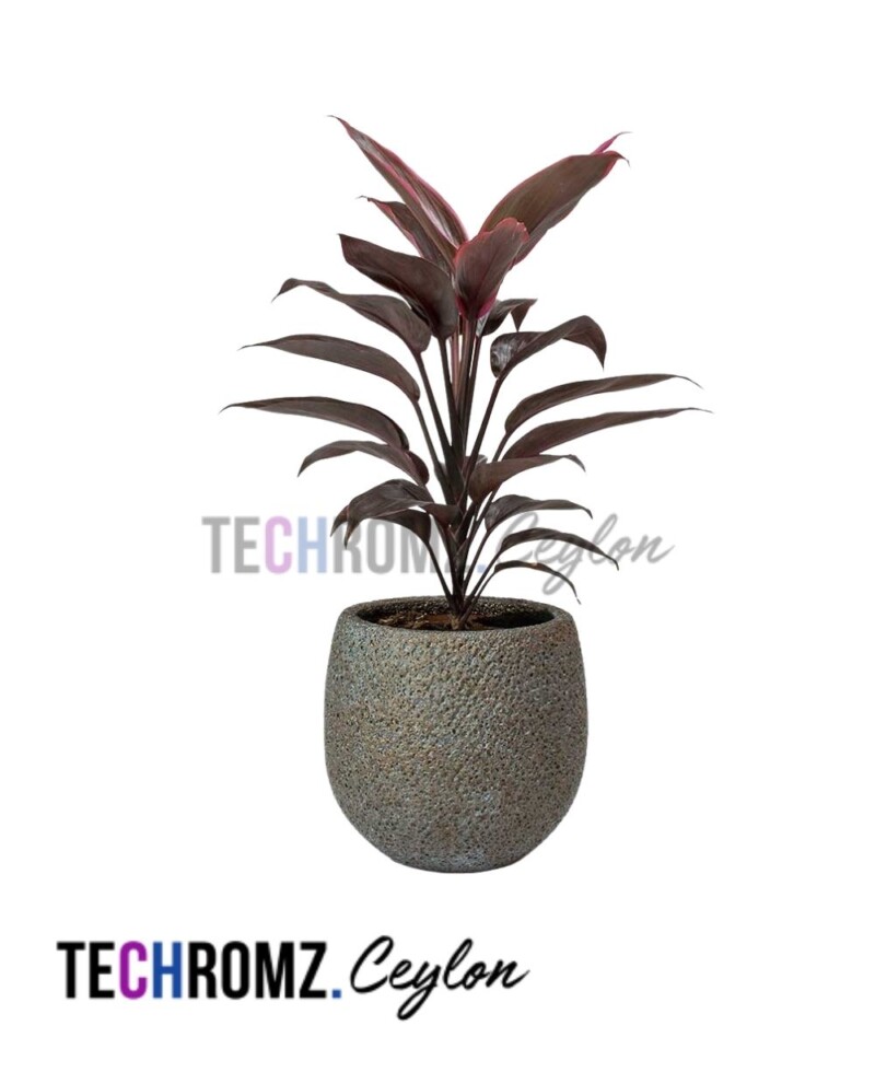 Floor Lamp (Copy)